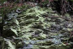 Landschaft 