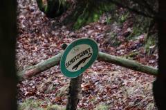 Wald 