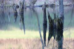 Wasser 