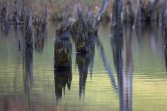 Wasser 