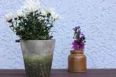 Blüten 