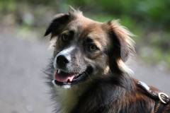 Bella 