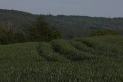 Landschaft 